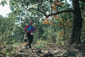 BIB: 
                            <button type="button" onclick="openModal(26116439)" class="btn btn-primary btn-sm float-right btn-popup" data-toggle="modal" data-target=".modal-high-quality">
                        <i class="fas fa-shopping-cart"></i> Add to Cart
                    </button>
                                            <button type="button" onclick="isThisMe(26116439, true)" class="btn btn-success btn-sm float-right btn-popup btn-isme hidden" data-toggle="tooltip" data-placement="bottom" title="นี่คือรูปของคุณใช่ไหม คลิกที่นี่เพื่อเอาเข้าอัลบั้ม">
                        <i class="fas fa-plus"></i> Add to album
                    </button>
                    <button type="button" onclick="isThisMe(26116439, false)" class="btn btn-warning btn-sm float-right btn-popup btn-isnotme hidden">
                        <i class="fas fa-ban"></i> Remove from album
                    </button>